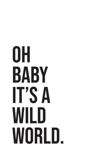 oh baby it's a wild world poster