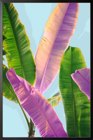 Banana leaves dual tone poster