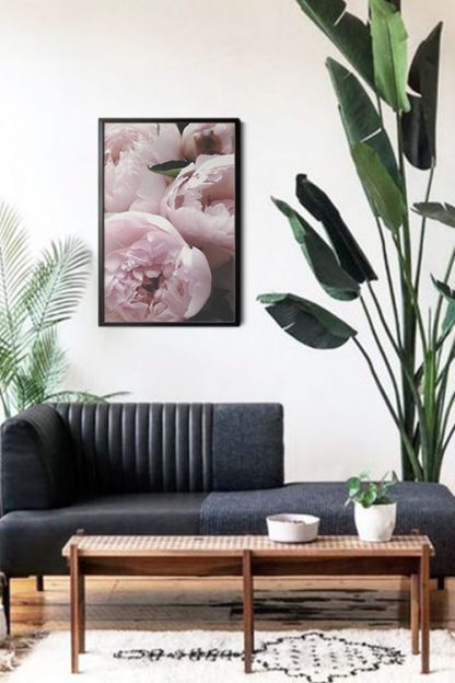 Garden roses poster