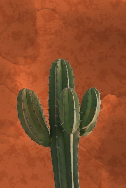 Cactus in watercolor paper background poster