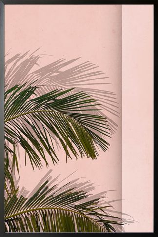 Palm leaves in pinkish background poster