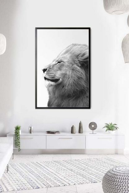 Side view of animal Lion poster in an interior