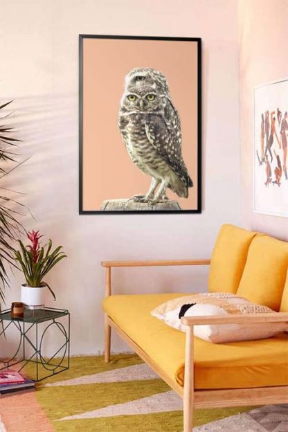 Twinning owl poster in interior