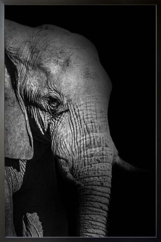 Elephant side view animal poster with frame