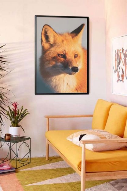 Fox face animal poster