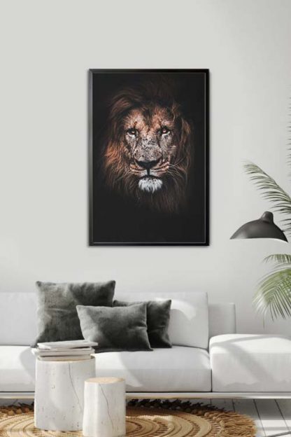 Lion in dark poster in interior