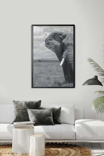 Elephant half poster in interior