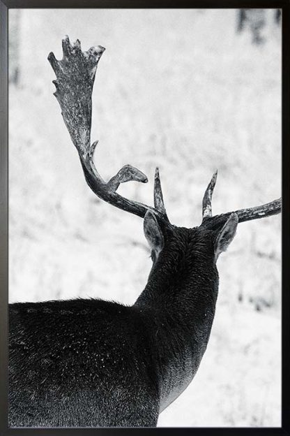 Deer back poster