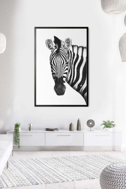 Zebra front face animal poster in an interior