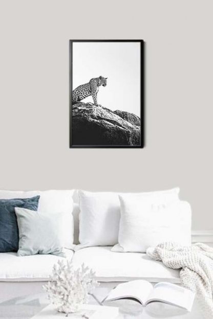 Leopard on rock Poster in interior