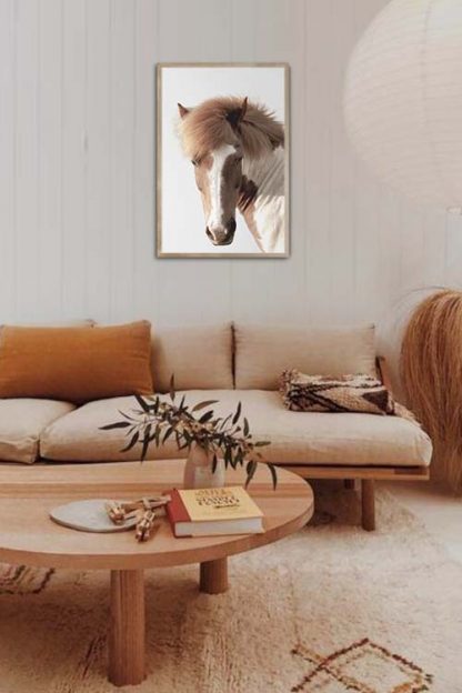 Horse in greyish background poster in interior