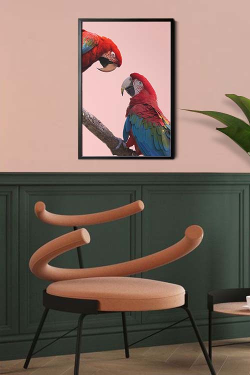 Parrot eye to eye animal poster in interior