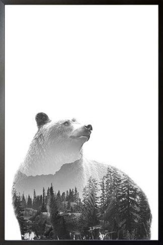 Bear Forest poster