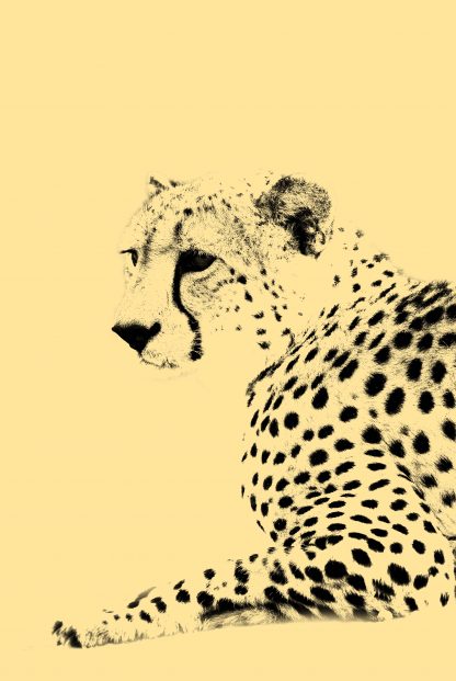 Leopard animal poster