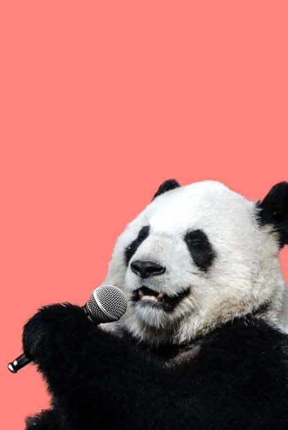 Karaoke panda poster