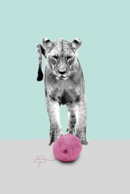 Lioness and yarn animal poster