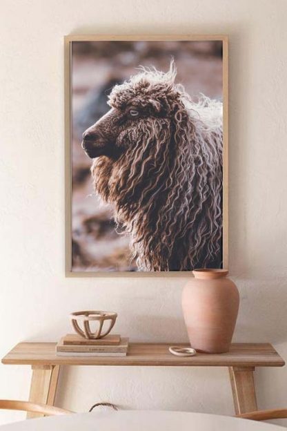 Sheep side view animal poster in an interior