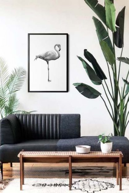 Black and white flamingo poster