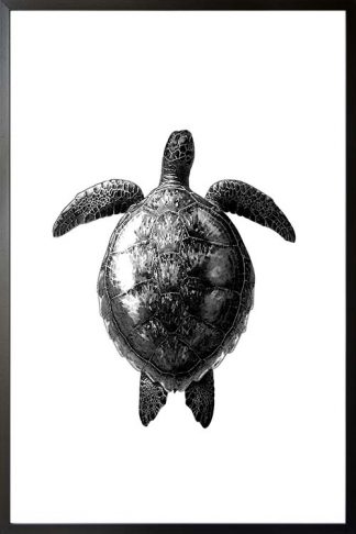 Turtle dive black and white poster