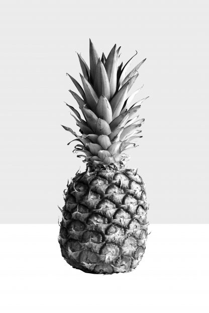 Pineapple black and white poster