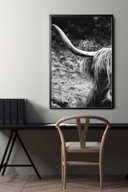 Highland Cow black and white poster