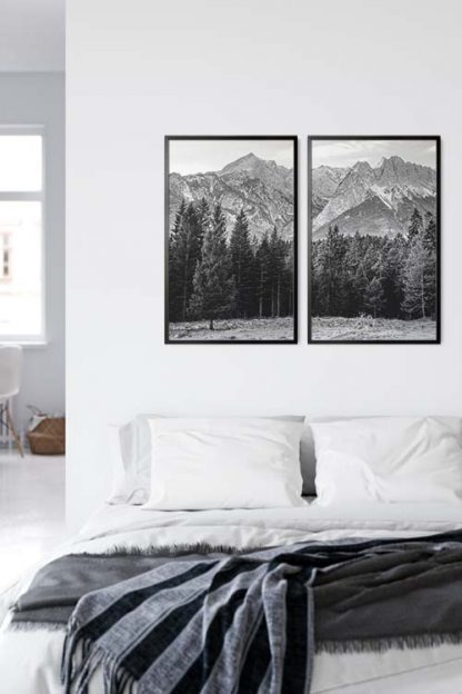 Pine tree and mountain no. 1 photography poster in an interior