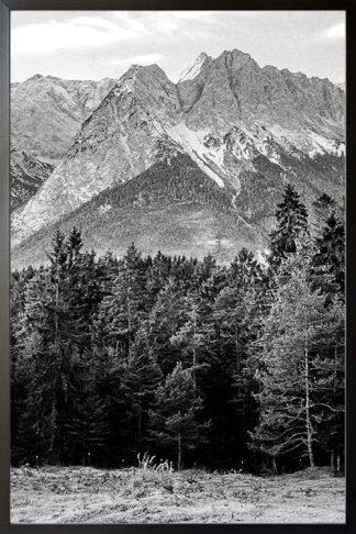 Pine tree and mountain no. 2 photography poster