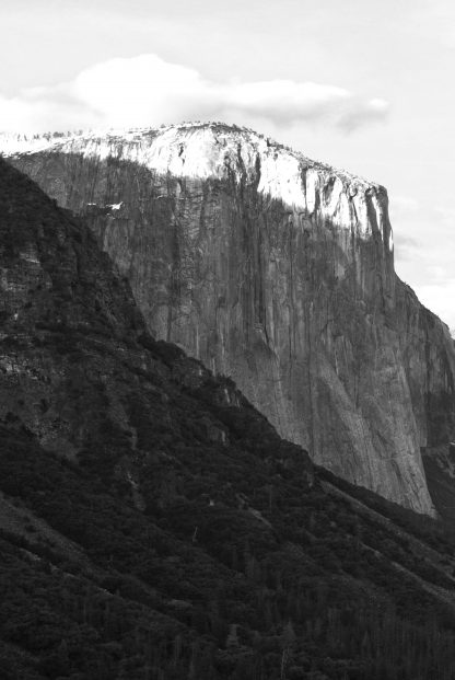 Rocky mountain and pine trees no. 1 photography poster