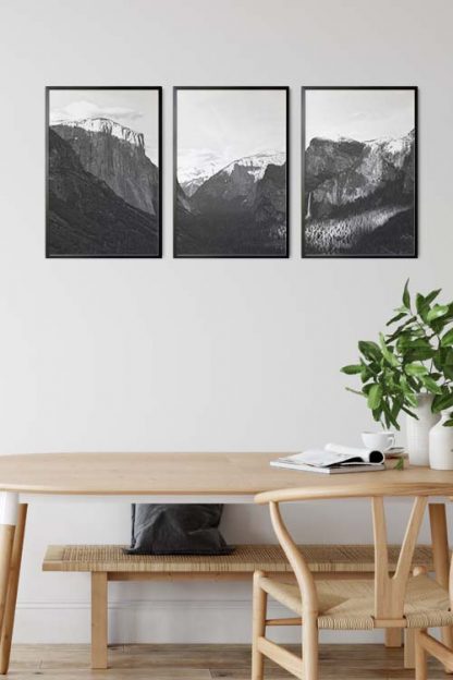 Rocky mountain and pine trees no. 1 photography poster in an interior