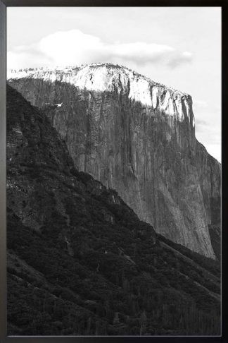 Rocky mountain and pine trees no. 1 photography poster