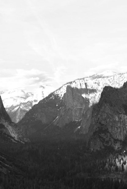 Rocky mountain and pine trees no. 2 photography poster