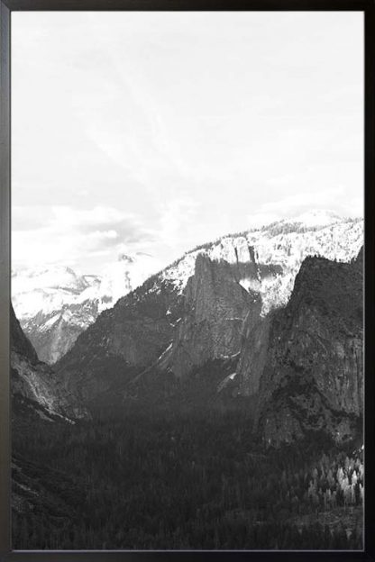 Rocky mountain and pine trees no. 2 photography poster