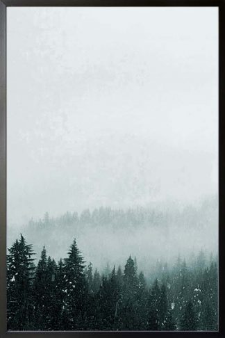 Foggy mountain and pine trees no. 1 photography poster