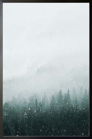 Foggy mountain and pine trees no. 2 photography poster