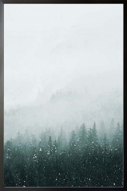 Foggy mountain and pine trees no. 2 photography poster