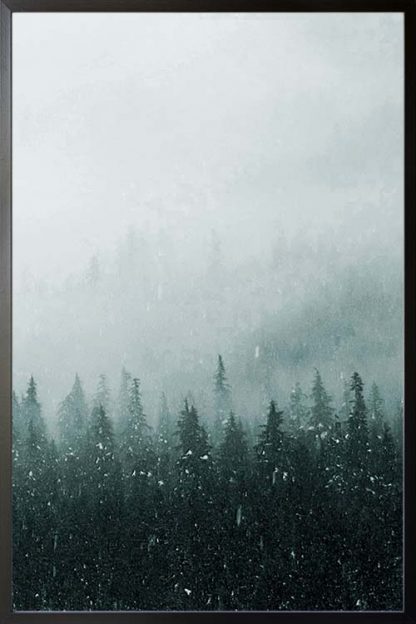 Foggy mountain and pine trees no. 3 poster