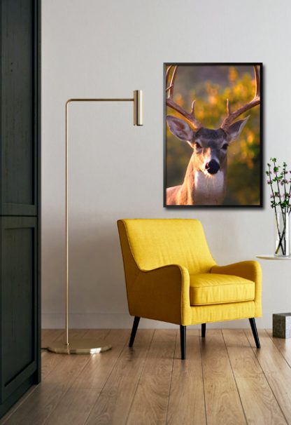Deer front view poster in interior