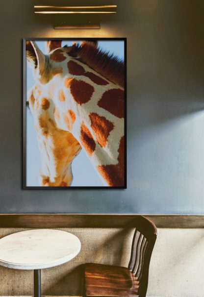 Giraffe Back side view poster in interior