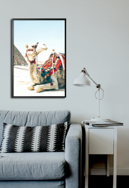 Travel camel poster in interior