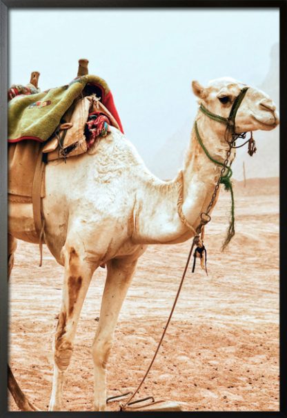 Travel camel stand up poster with frame