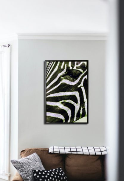 Zebra side facial view poster in interior