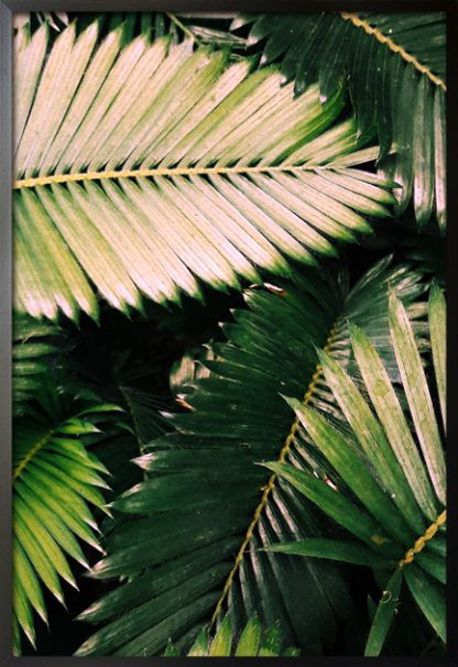 Aesthetic rainforest leaves poster with frame