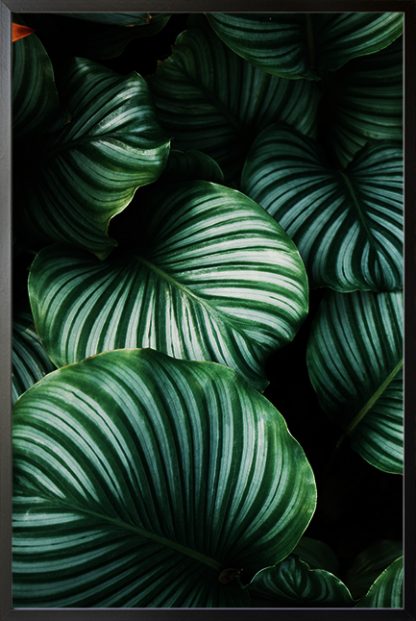 Bright green leaves Poster
