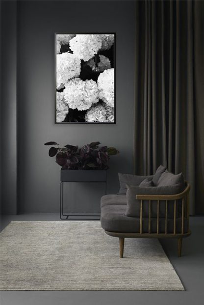 Black and white hydrangea Poster