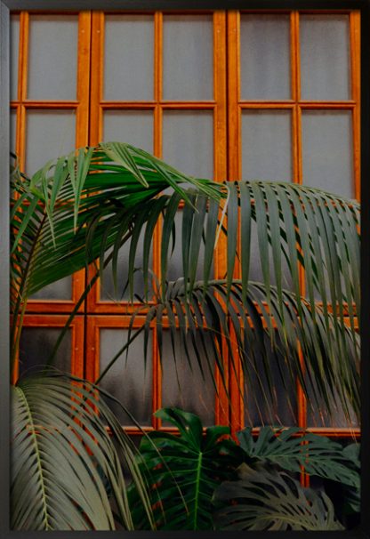 Plants on window poster with frame