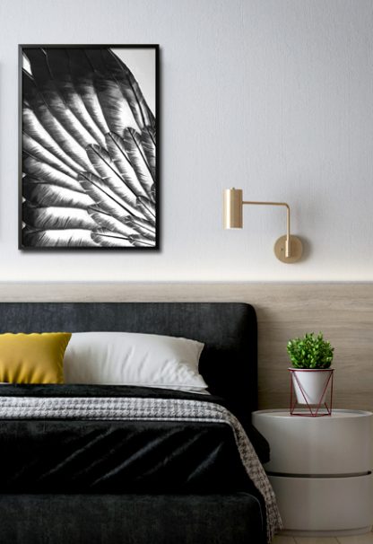 Black and white feather spread poster in interior