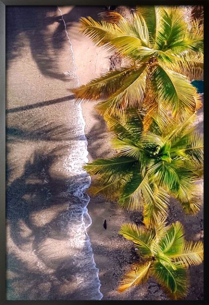 Aerial beach with vibrant trees poster with frame