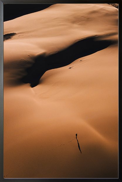 Desert from top view Poster