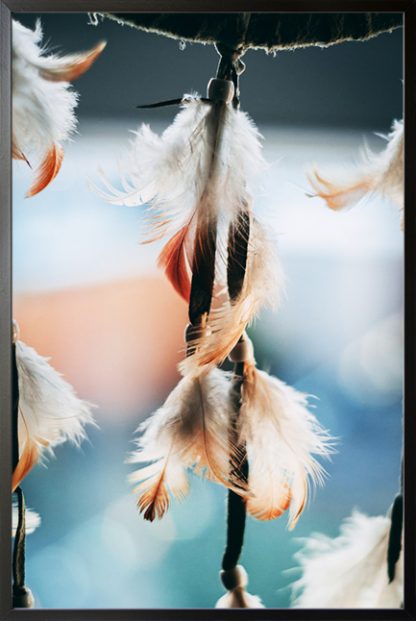 feather from dream catcher Poster