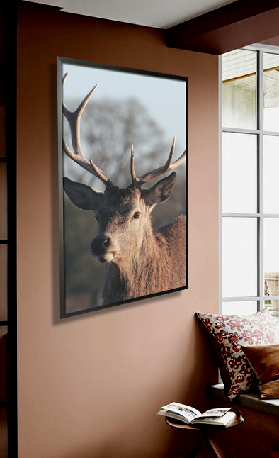 Deer dramatic side view poster
